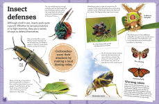 Alternative view 7 of My Book of Bugs: A Fact-Filled Guide to the Insect World