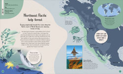 Alternative view 9 of Ocean: Dive In and Discover the World Beneath the Waves