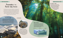 Alternative view 10 of Ocean: Dive In and Discover the World Beneath the Waves