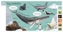 Alternative view 4 of My First Ocean: Letâ?Ts Dive In and Explore!
