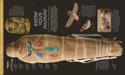 Alternative view 14 of Ancient Egypt