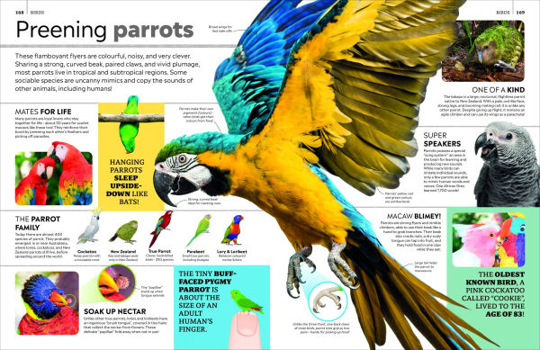 Eyewitness Encyclopedia of Animals