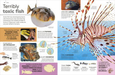 Alternative view 13 of Eyewitness Encyclopedia of Animals