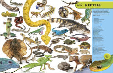 Alternative view 16 of Eyewitness Encyclopedia of Animals