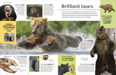 Alternative view 18 of Eyewitness Encyclopedia of Animals