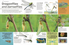 Alternative view 19 of Eyewitness Encyclopedia of Animals