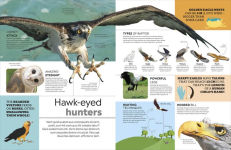Alternative view 3 of Eyewitness Encyclopedia of Animals