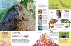 Alternative view 5 of Eyewitness Encyclopedia of Animals