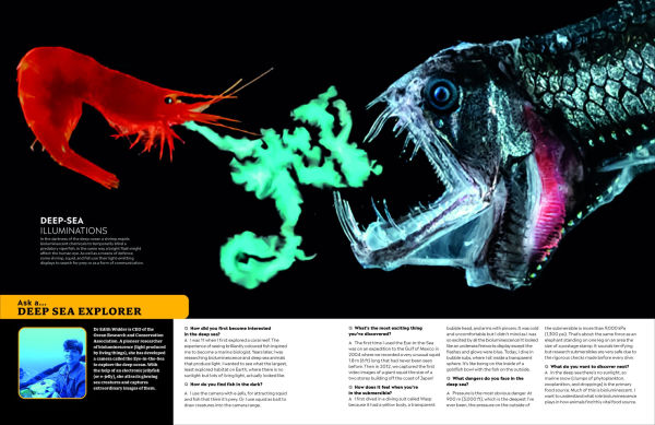 Eyewitness Encyclopedia of Animals