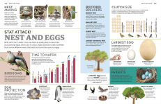 Alternative view 10 of Eyewitness Encyclopedia of Animals
