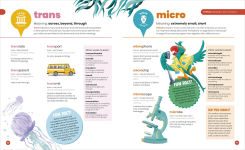 Alternative view 5 of DK SUPER Where Words Come From: Guide to Morphology with Prefixes, Suffixes, and Root Words