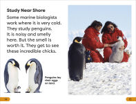 Alternative view 6 of DK Super Readers Level 1 A Day in the Life of a Marine Biologist