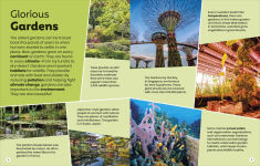 Alternative view 6 of DK Super Planet Global Gardens