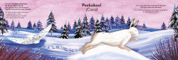 Alternative view 5 of Bilingual Pop-up Peekaboo! Winter / El invierno
