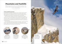 Alternative view 5 of Birdwatching Guide: Turn Yourself into a Birdwatching Expert