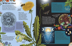 Alternative view 7 of About Time: A Children's Guide to the History and Science of Time