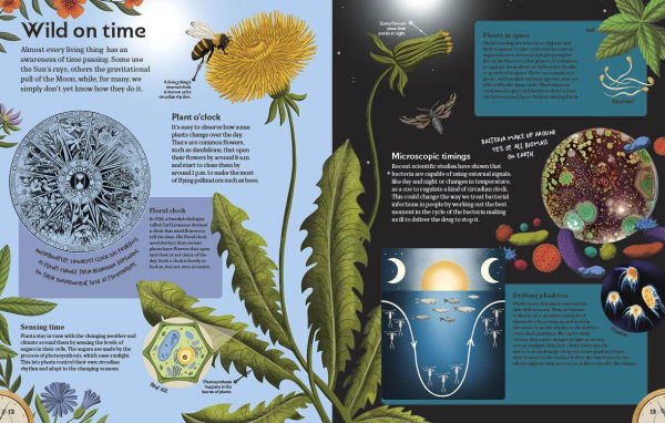 About Time: A Children's Guide to the History and Science of Time