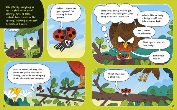 How to Be a Ladybug