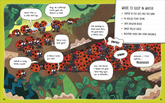 Alternative view 8 of How to Be a Ladybug