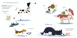 Alternative view 7 of The Biggest Dog in the Book