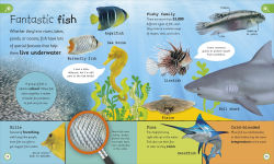 Alternative view 2 of My Encyclopedia of Very Important Animals: For Little Animal Lovers Who Want to Know Everything