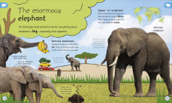 Alternative view 3 of My Encyclopedia of Very Important Animals: For Little Animal Lovers Who Want to Know Everything