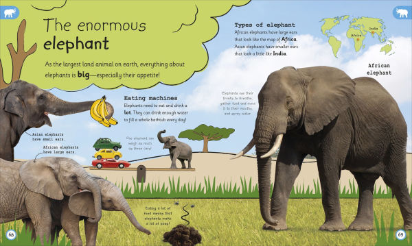 My Encyclopedia of Very Important Animals: For Little Animal Lovers Who Want to Know Everything