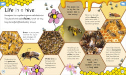 Alternative view 6 of My Encyclopedia of Very Important Animals: For Little Animal Lovers Who Want to Know Everything