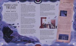 Alternative view 3 of The Extraordinary History of Witches