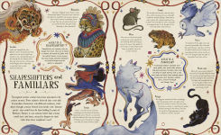 Alternative view 4 of The Extraordinary History of Witches