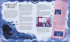 Alternative view 9 of The Extraordinary History of Witches