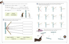 Alternative view 3 of Mammoth Science Workbook: Practice Your Science Skills with a Little Help from Some Mammoths