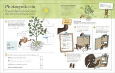 Alternative view 5 of Mammoth Science Workbook: Practice Your Science Skills with a Little Help from Some Mammoths