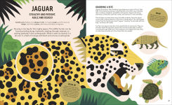 Alternative view 11 of Zoom Out Natural World: Discover 12 Iconic Animals and Their Incredible Ecosystems