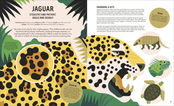 Zoom Out Natural World: Discover 12 Iconic Animals and Their Incredible Ecosystems