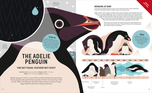 Zoom Out Natural World: Discover 12 Iconic Animals and Their Incredible Ecosystems