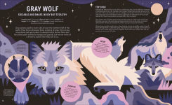 Alternative view 7 of Zoom Out Natural World: Discover 12 Iconic Animals and Their Incredible Ecosystems