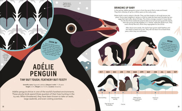 Zoom Out Natural World: Discover 12 Iconic Animals and Their Incredible Ecosystems