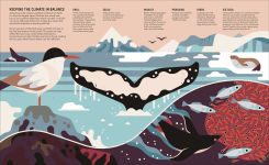 Alternative view 9 of Zoom Out Natural World: Discover 12 Iconic Animals and Their Incredible Ecosystems