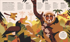 Alternative view 10 of Zoom Out Natural World: Discover 12 Iconic Animals and Their Incredible Ecosystems