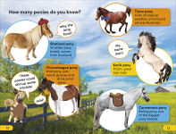 Alternative view 6 of DK Super Readers Level 2 Prancing Pony