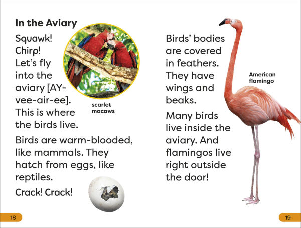 DK Super Readers Level 1 A Trip to the Zoo