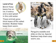 Alternative view 6 of DK Super Readers Level 1 A Trip to the Zoo