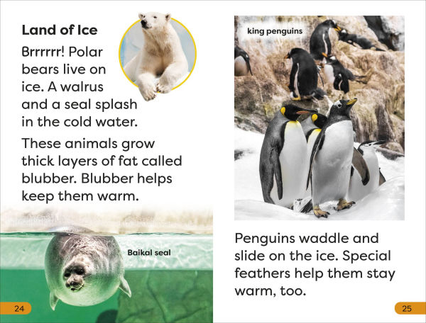 DK Super Readers Level 1 A Trip to the Zoo