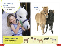 Alternative view 2 of DK Super Readers Pre-Level Spanish Bilingual A Day at the Petting Zoo - Un día en el zoológico interactivo
