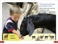 Alternative view 4 of DK Super Readers Pre-Level Spanish Bilingual A Day at the Petting Zoo - Un día en el zoológico interactivo
