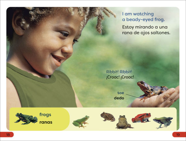 DK Super Readers Pre-Level Spanish Bilingual A Day at the Petting Zoo - Un día en el zoológico interactivo