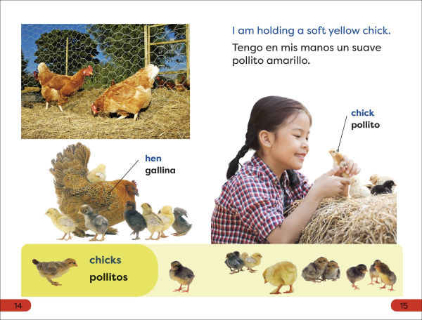 DK Super Readers Pre-Level Spanish Bilingual A Day at the Petting Zoo - Un día en el zoológico interactivo