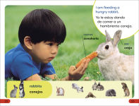 Alternative view 8 of DK Super Readers Pre-Level Spanish Bilingual A Day at the Petting Zoo - Un día en el zoológico interactivo