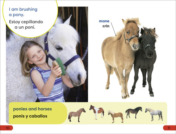 DK Super Readers Pre-Level English-Spanish Bilingual A Day at the Petting Zoo â?